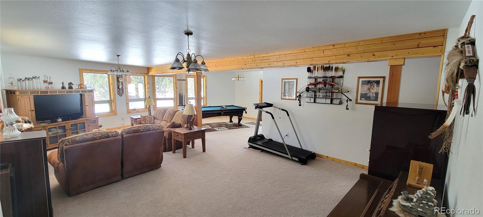 MLS Image #12 for 1321  bristlecone road,guffey, Colorado