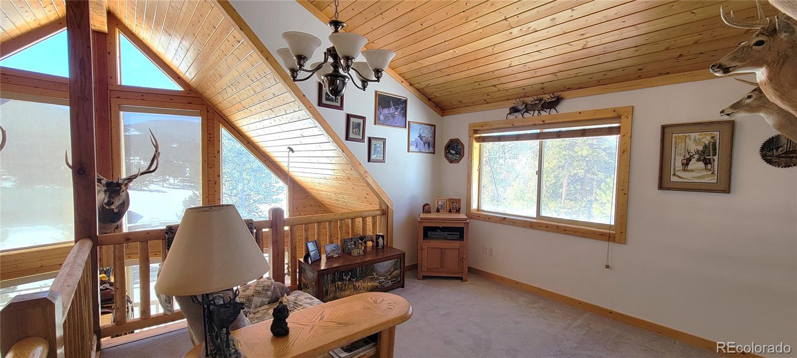 MLS Image #15 for 1321  bristlecone road,guffey, Colorado
