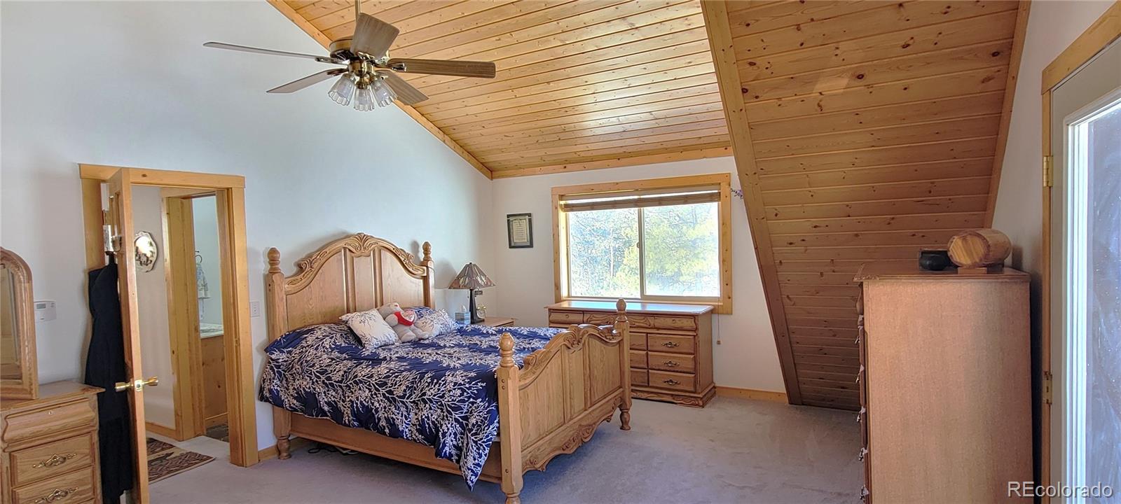 MLS Image #16 for 1321  bristlecone road,guffey, Colorado