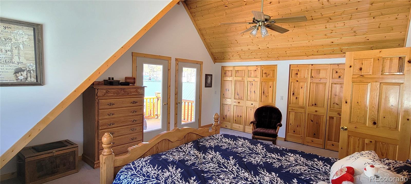 MLS Image #17 for 1321  bristlecone road,guffey, Colorado