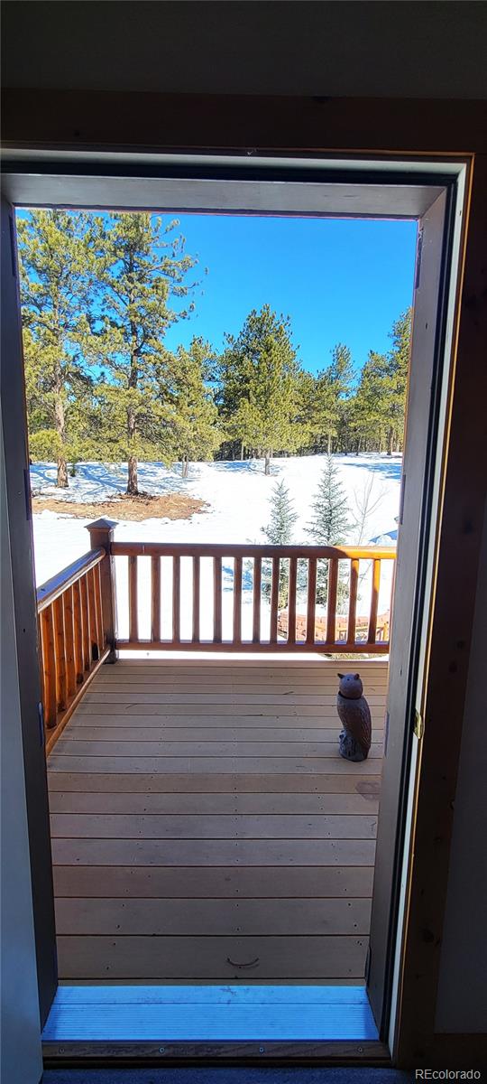MLS Image #18 for 1321  bristlecone road,guffey, Colorado