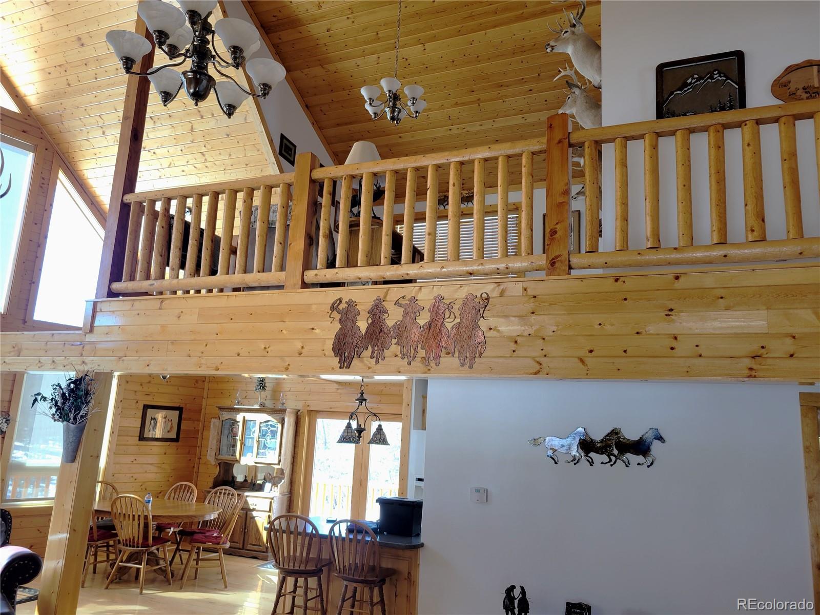 MLS Image #19 for 1321  bristlecone road,guffey, Colorado
