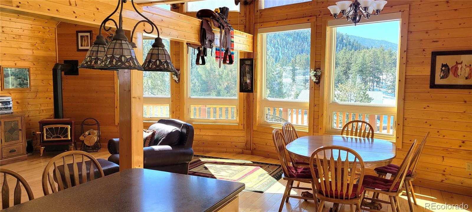 MLS Image #2 for 1321  bristlecone road,guffey, Colorado