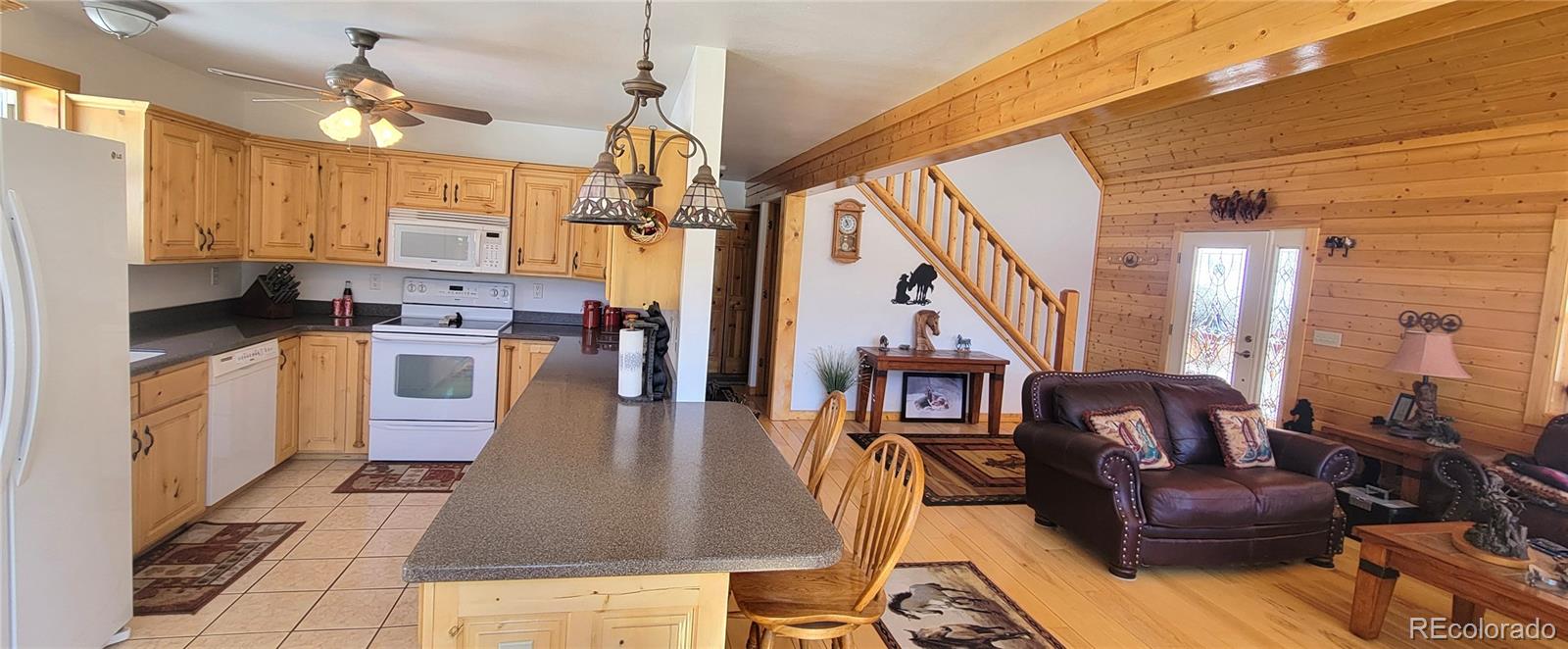 MLS Image #20 for 1321  bristlecone road,guffey, Colorado