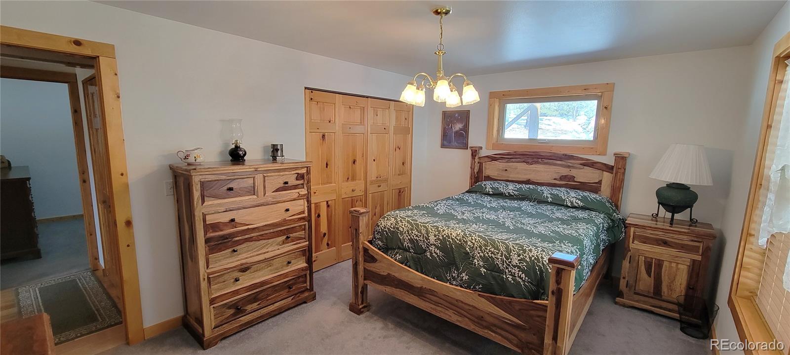 MLS Image #21 for 1321  bristlecone road,guffey, Colorado