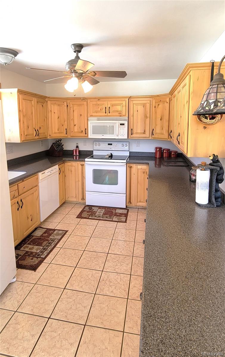 MLS Image #3 for 1321  bristlecone road,guffey, Colorado