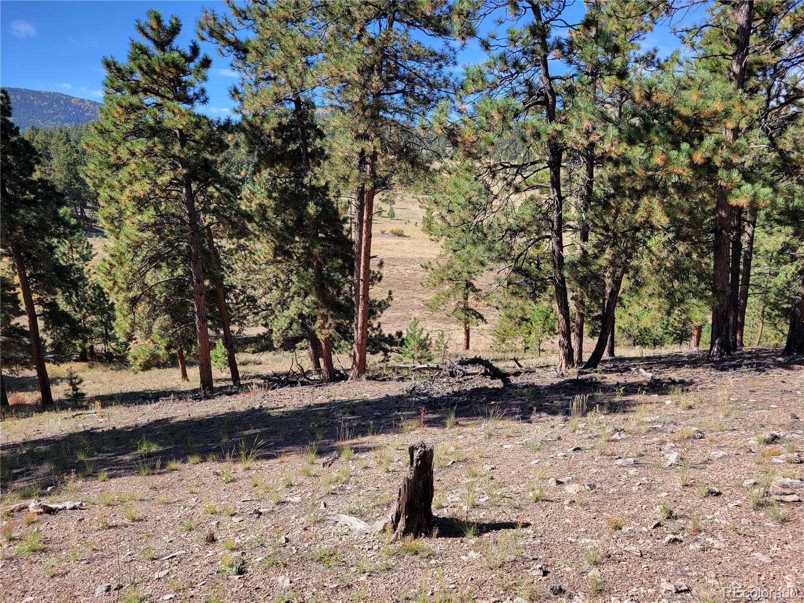 MLS Image #33 for 1321  bristlecone road,guffey, Colorado