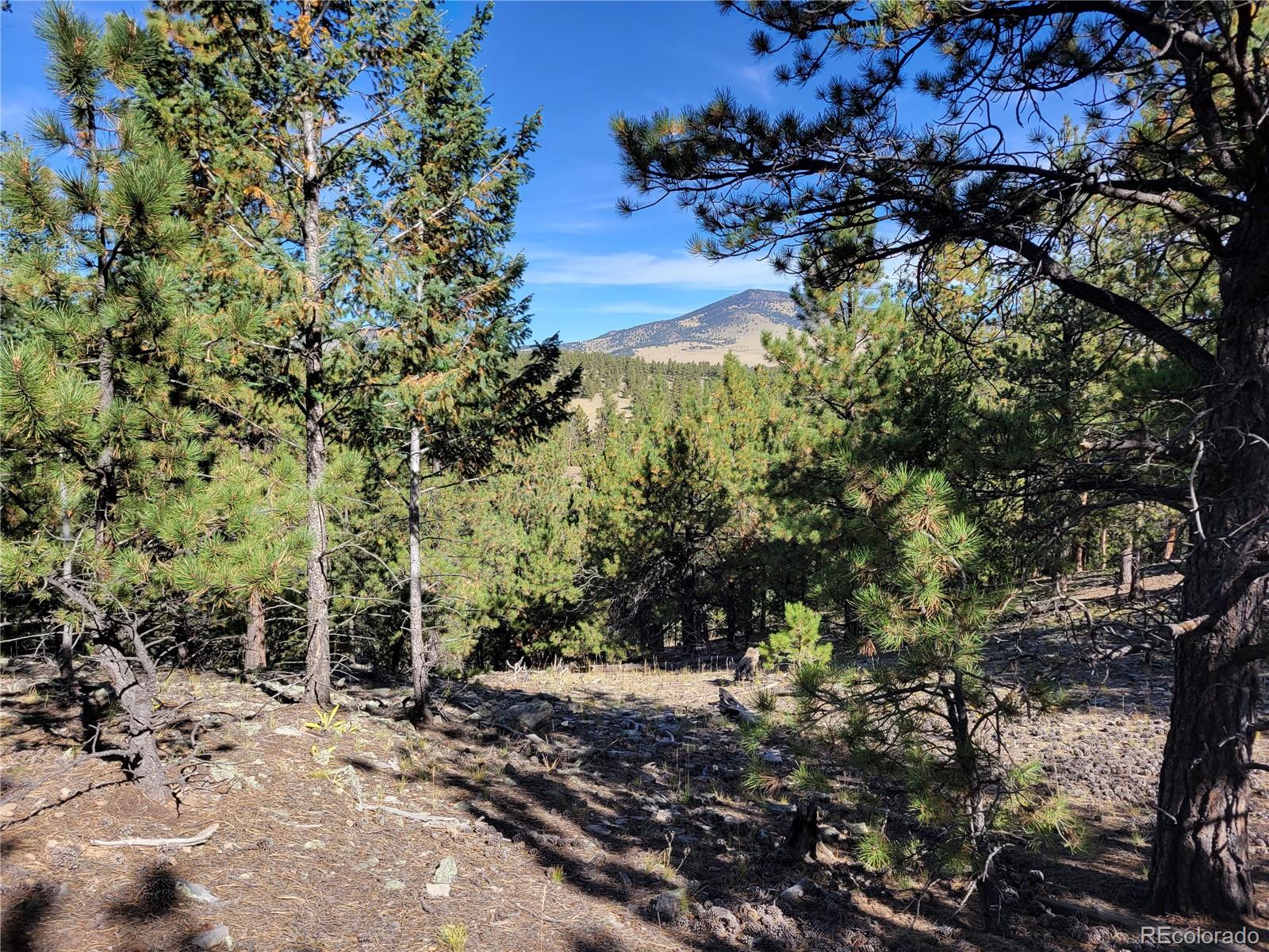 MLS Image #34 for 1321  bristlecone road,guffey, Colorado