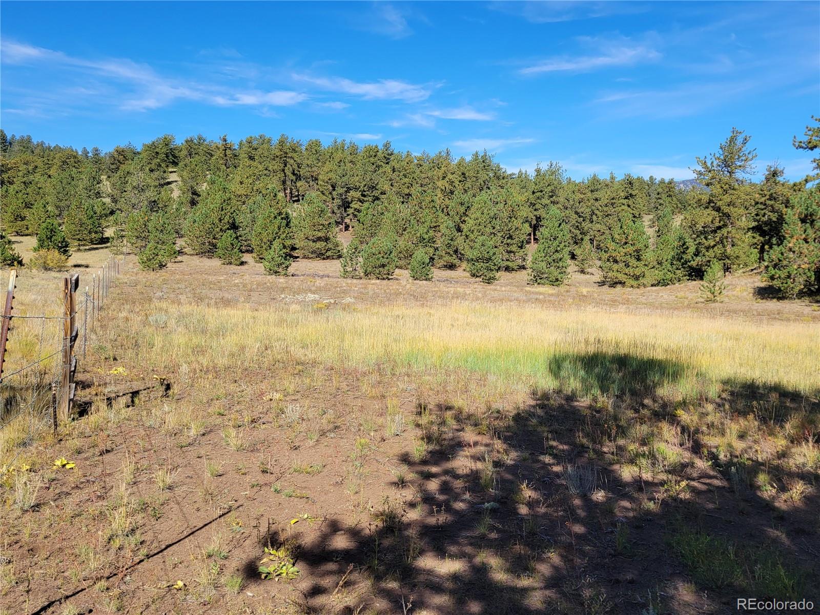 MLS Image #35 for 1321  bristlecone road,guffey, Colorado
