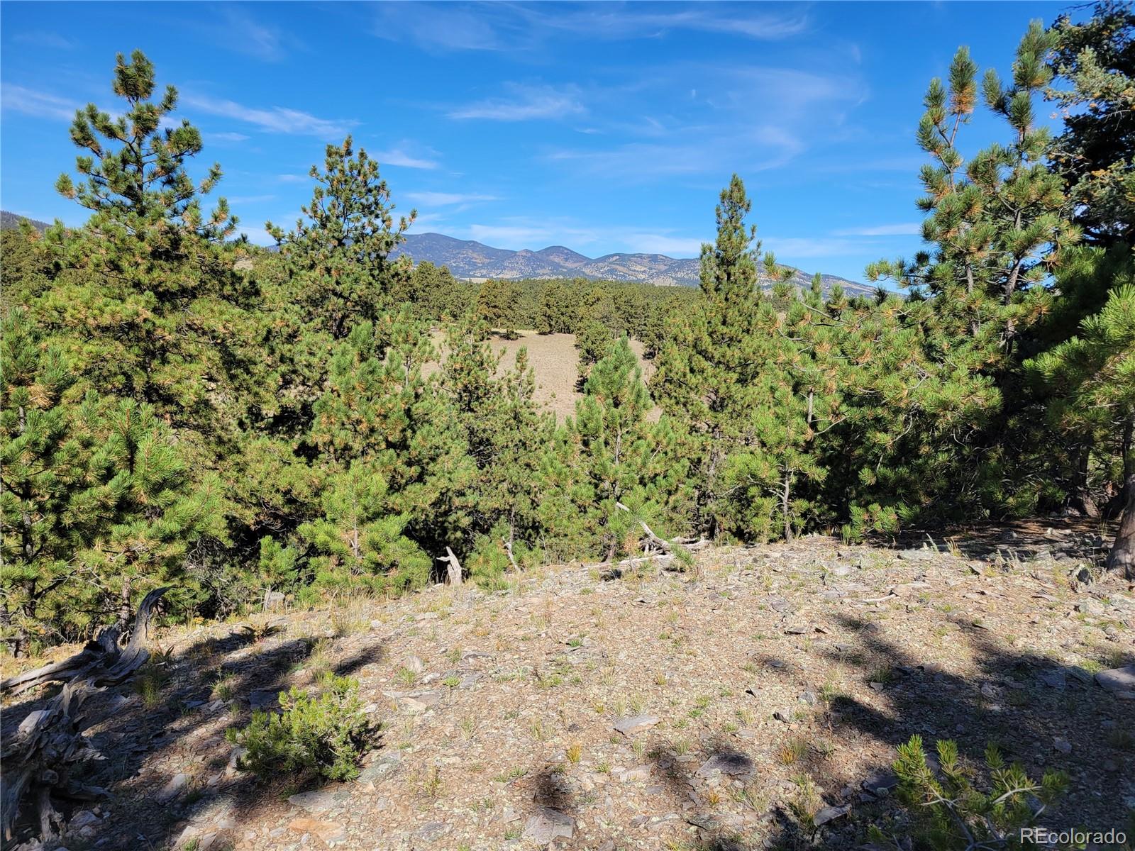 MLS Image #36 for 1321  bristlecone road,guffey, Colorado