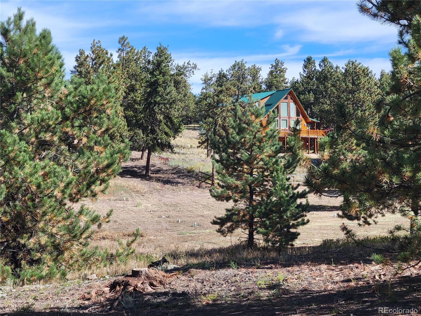 MLS Image #37 for 1321  bristlecone road,guffey, Colorado