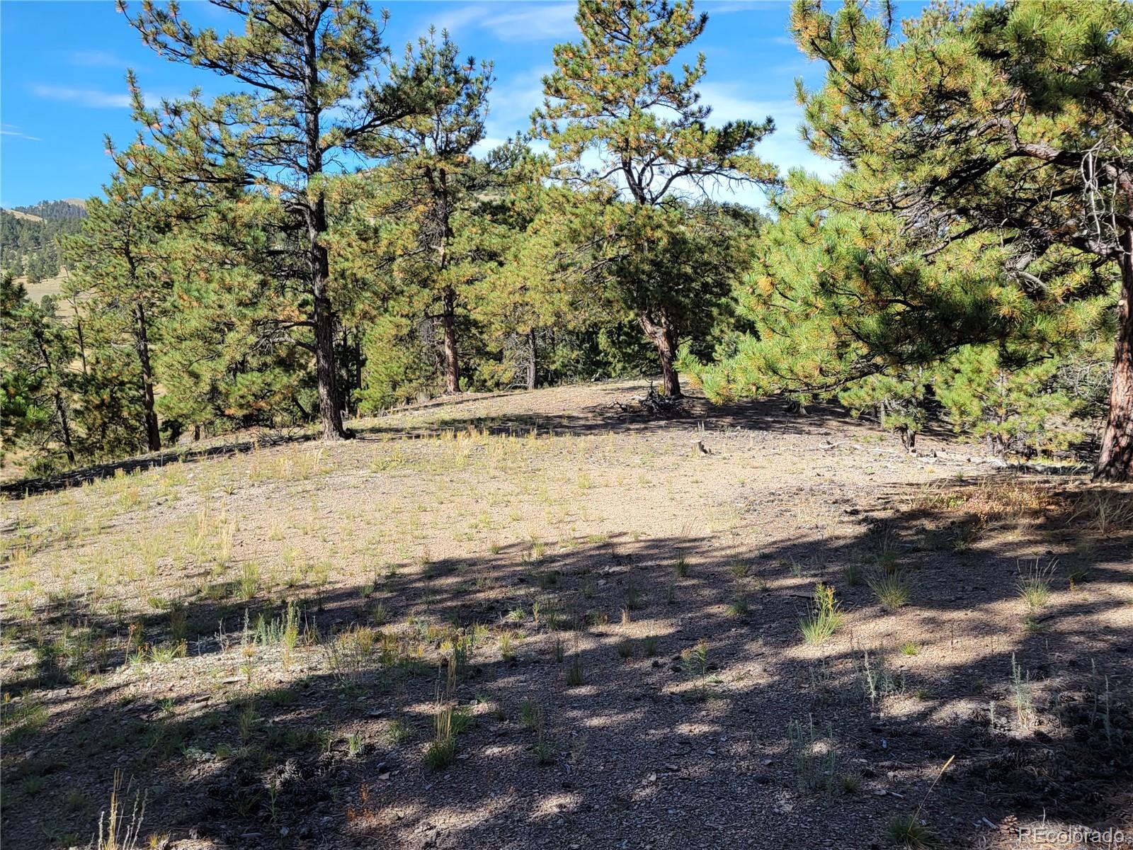 MLS Image #38 for 1321  bristlecone road,guffey, Colorado