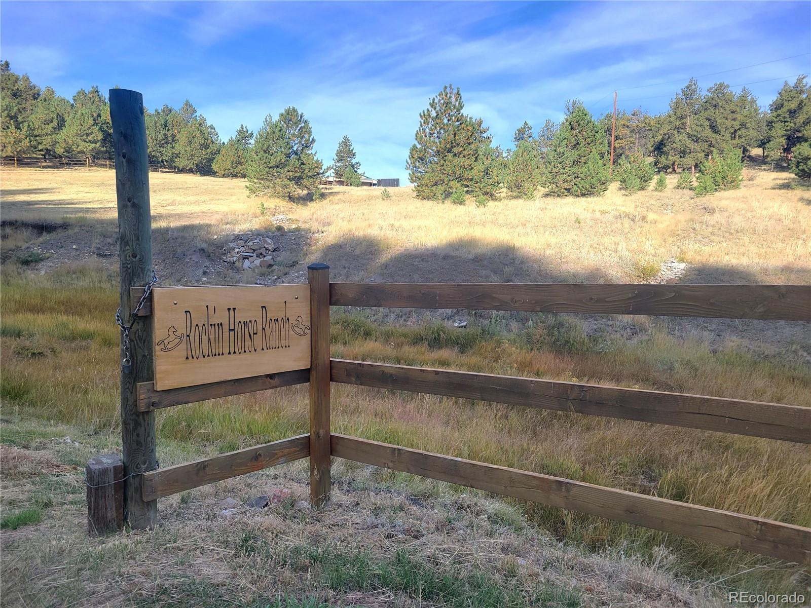MLS Image #42 for 1321  bristlecone road,guffey, Colorado