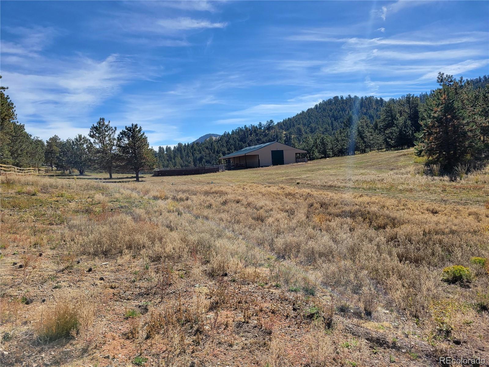 MLS Image #43 for 1321  bristlecone road,guffey, Colorado