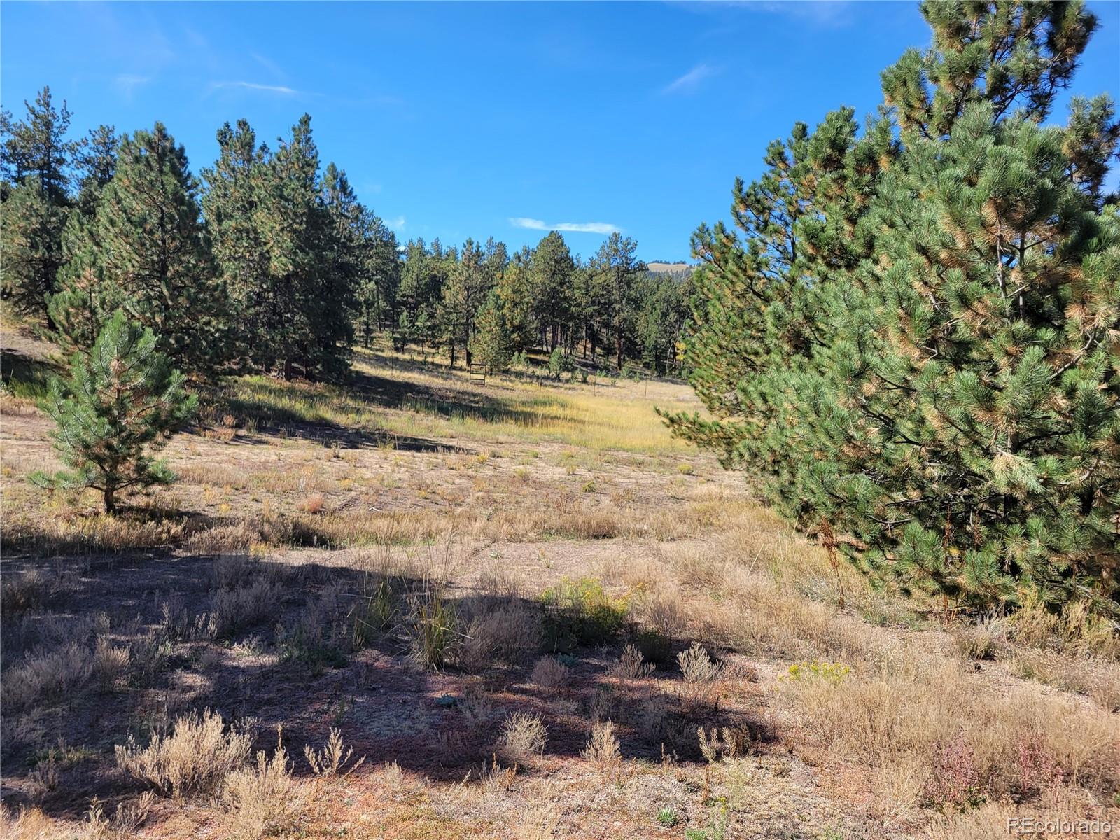 MLS Image #44 for 1321  bristlecone road,guffey, Colorado