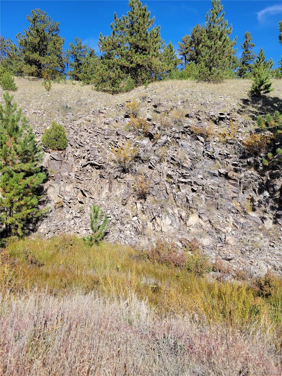 MLS Image #46 for 1321  bristlecone road,guffey, Colorado