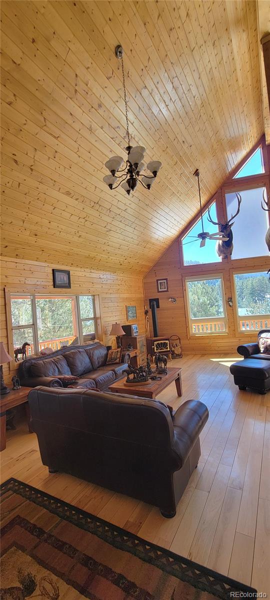 MLS Image #8 for 1321  bristlecone road,guffey, Colorado