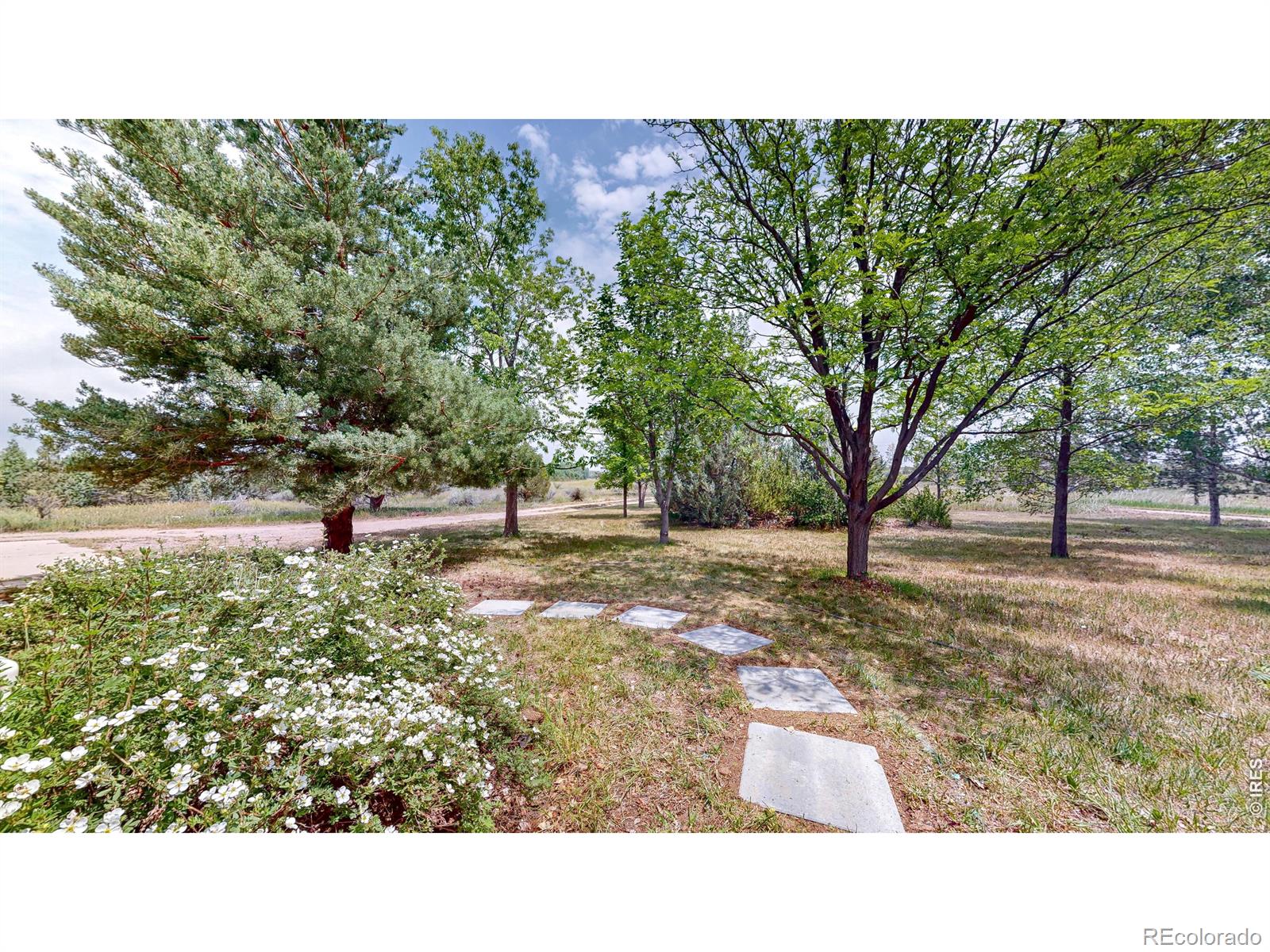 MLS Image #16 for 6485 n county road 19 ,fort collins, Colorado
