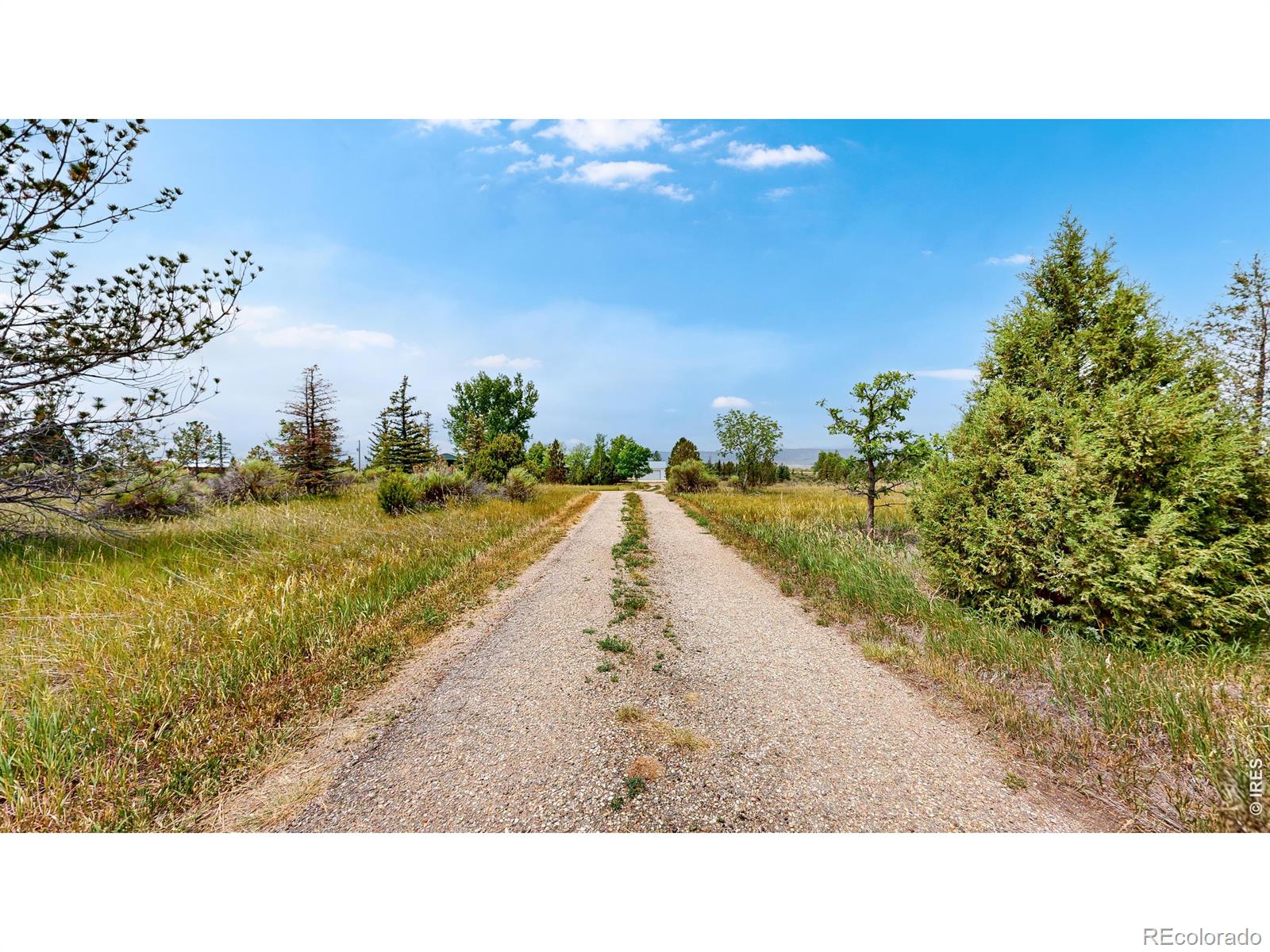 MLS Image #5 for 6485 n county road 19 ,fort collins, Colorado