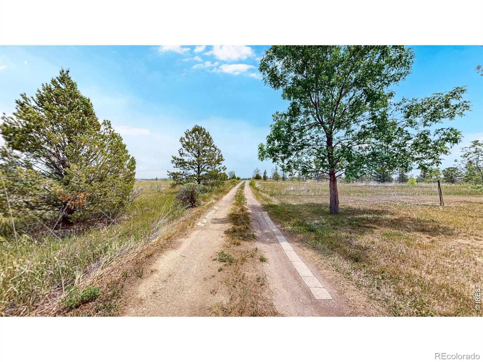MLS Image #7 for 6485 n county road 19 ,fort collins, Colorado