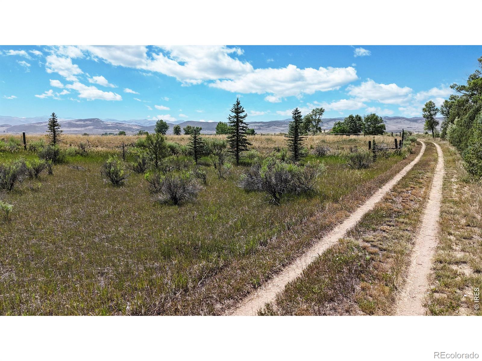 MLS Image #9 for 6485 n county road 19 ,fort collins, Colorado