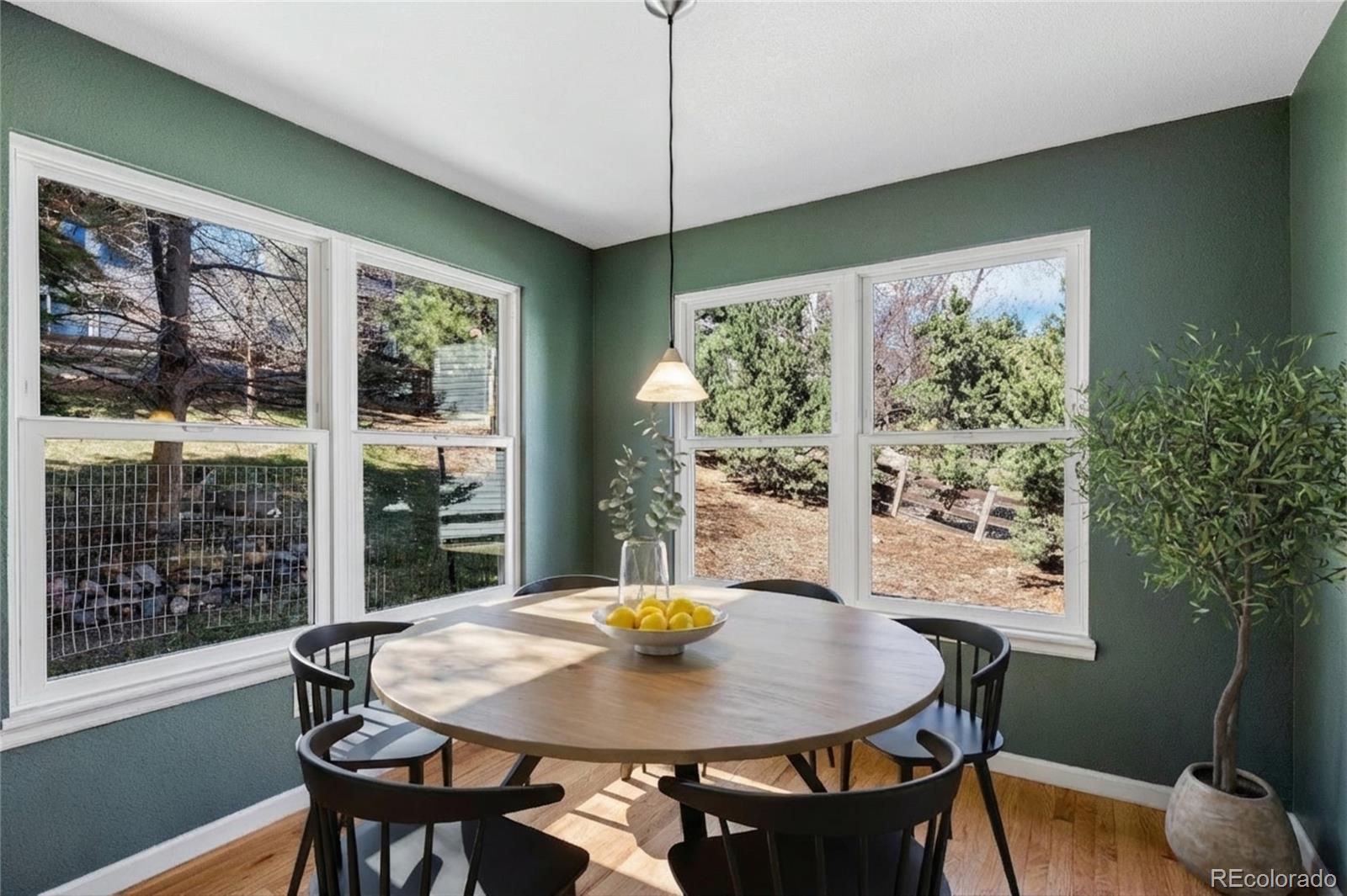 MLS Image #7 for 7  vinca ,littleton, Colorado