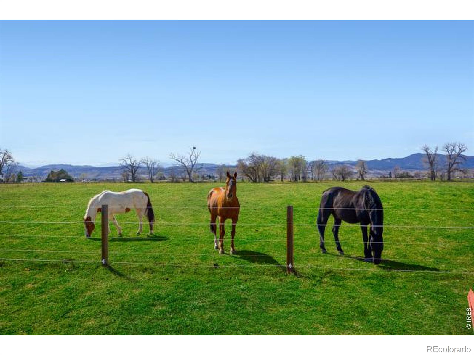 MLS Image #34 for 560  talons reach run,berthoud, Colorado
