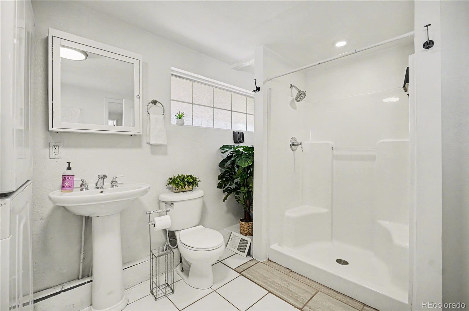 MLS Image #13 for 4870  raritan street,denver, Colorado
