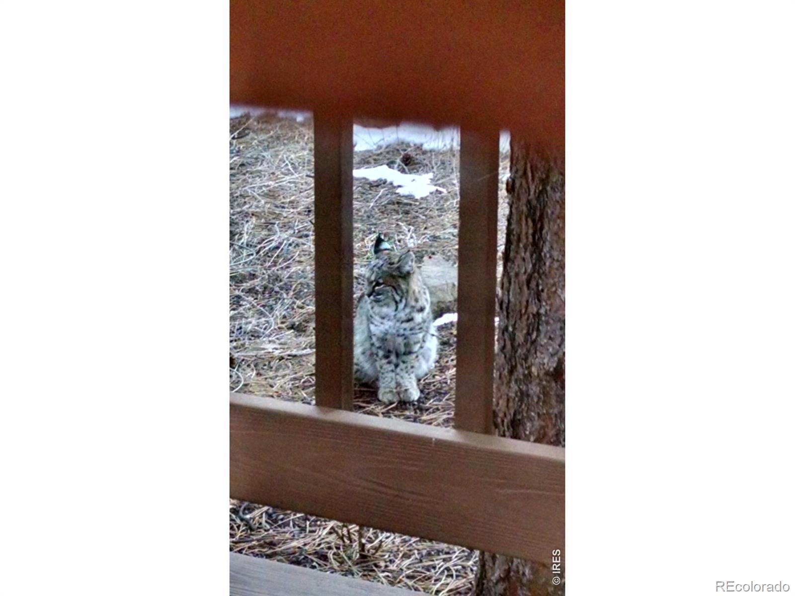 MLS Image #15 for 895  elk meadow court,estes park, Colorado