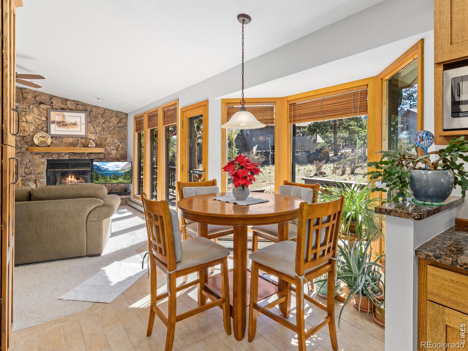 MLS Image #24 for 895  elk meadow court,estes park, Colorado