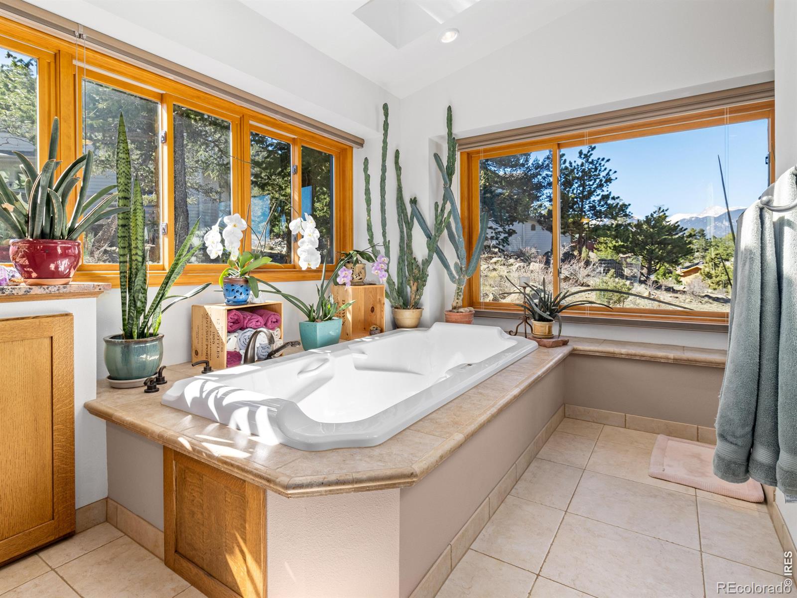 MLS Image #32 for 895  elk meadow court,estes park, Colorado