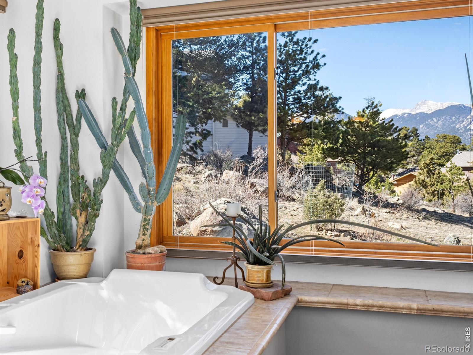 MLS Image #33 for 895  elk meadow court,estes park, Colorado