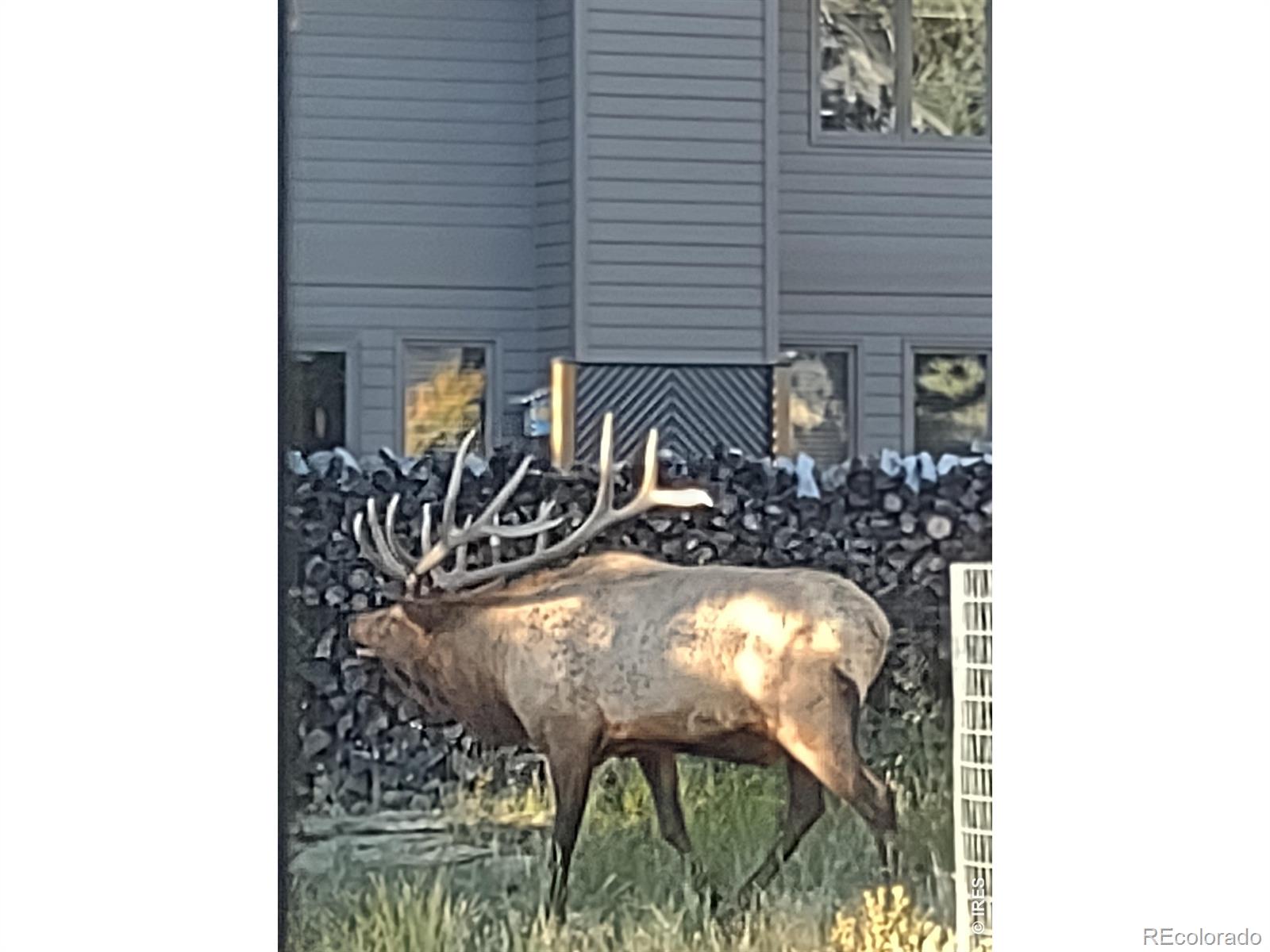 MLS Image #39 for 895  elk meadow court,estes park, Colorado