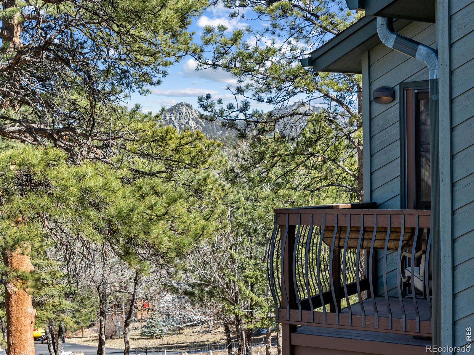 MLS Image #44 for 895  elk meadow court,estes park, Colorado