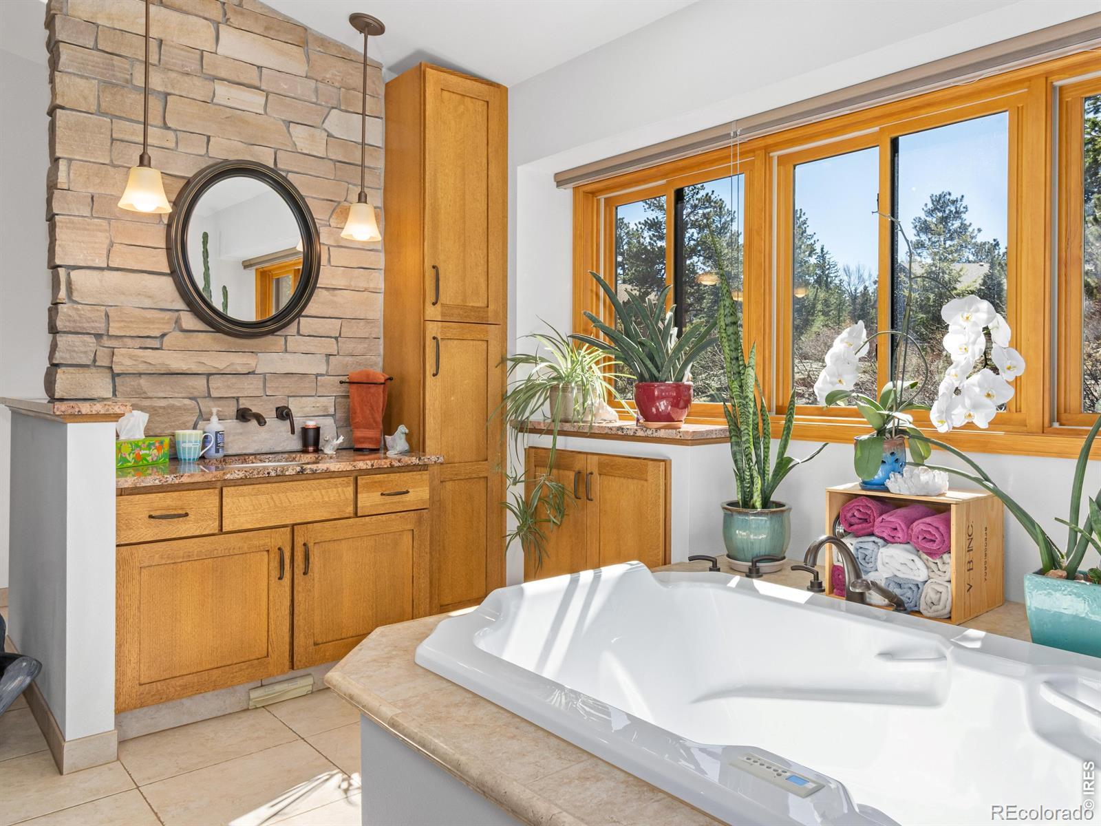 MLS Image #9 for 895  elk meadow court,estes park, Colorado