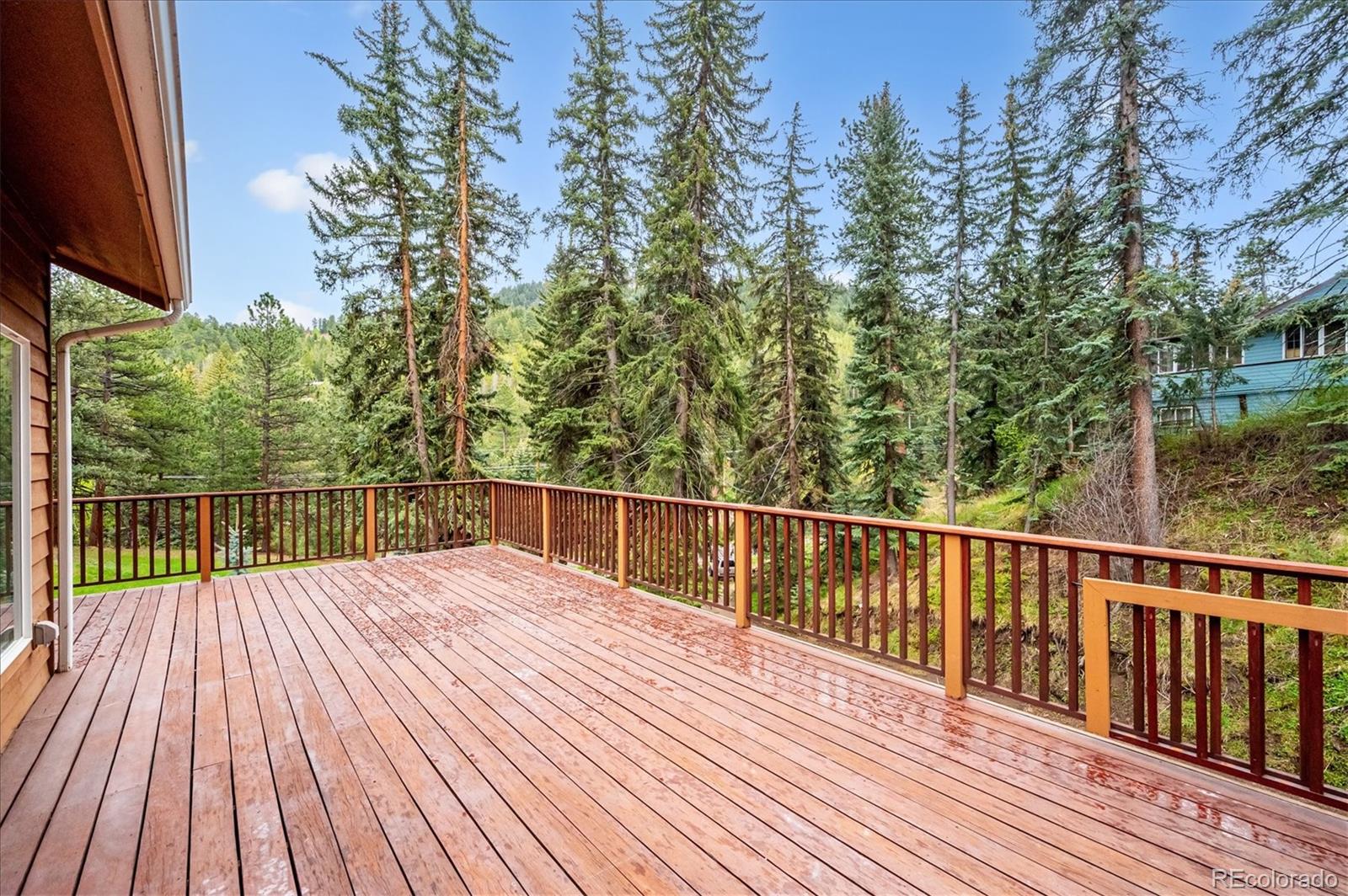 MLS Image #2 for 6747 s brook forest road,evergreen, Colorado