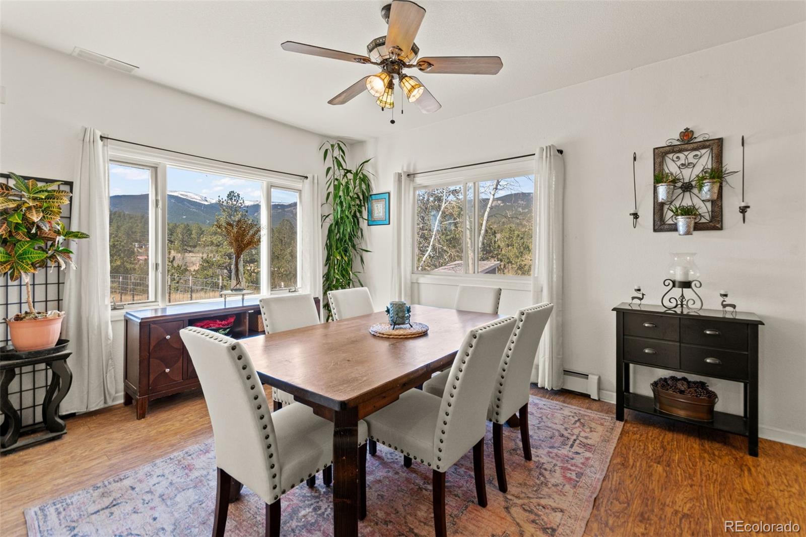 MLS Image #11 for 211  appleby street,bailey, Colorado