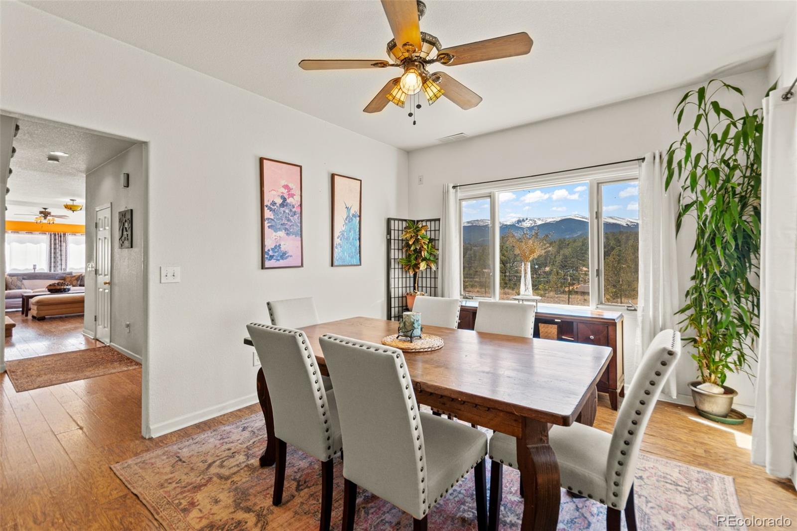 MLS Image #12 for 211  appleby street,bailey, Colorado