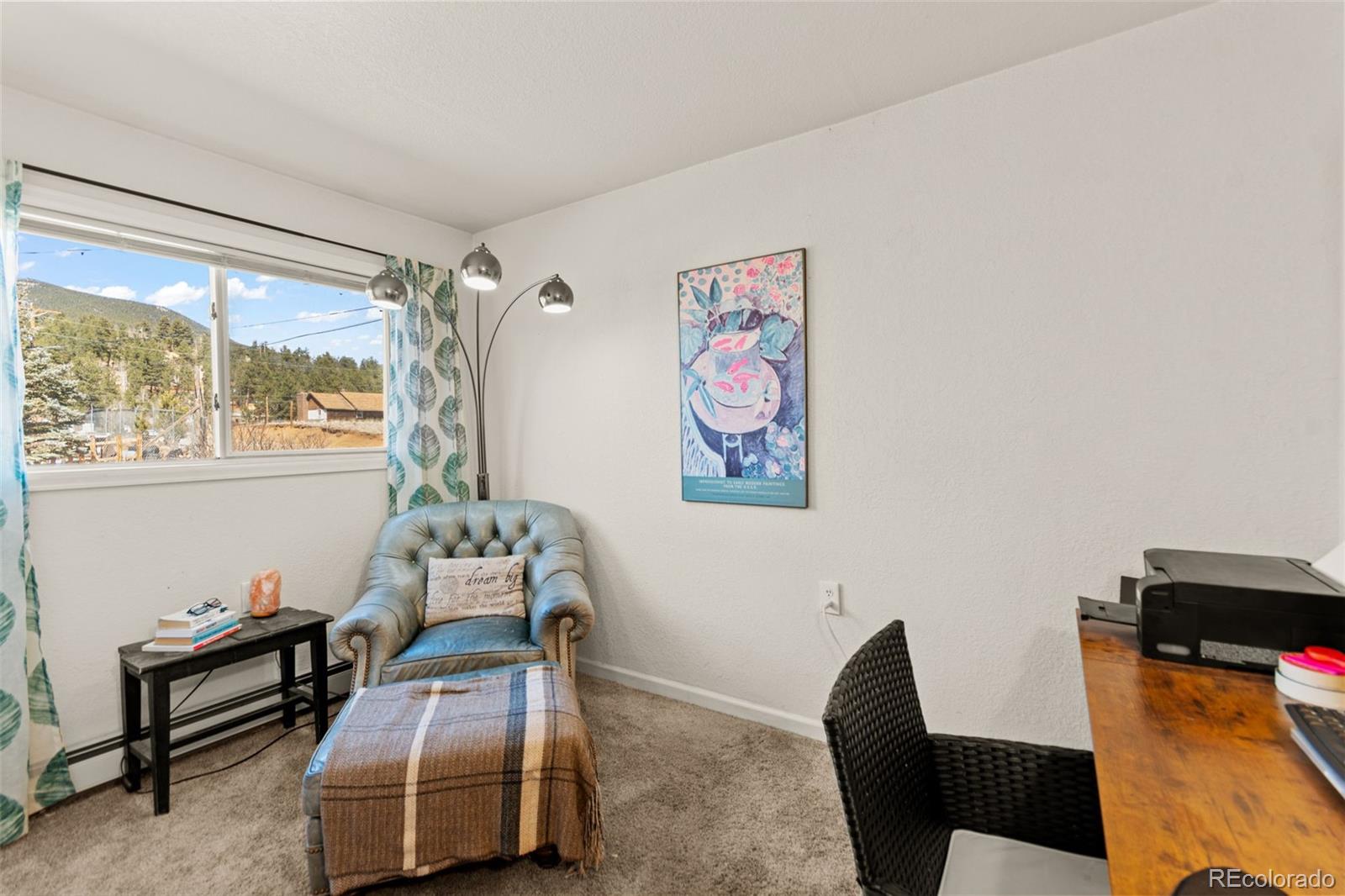MLS Image #15 for 211  appleby street,bailey, Colorado