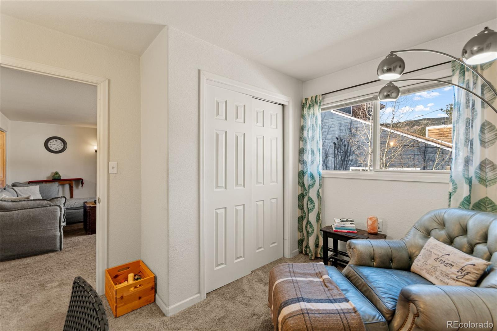 MLS Image #16 for 211  appleby street,bailey, Colorado