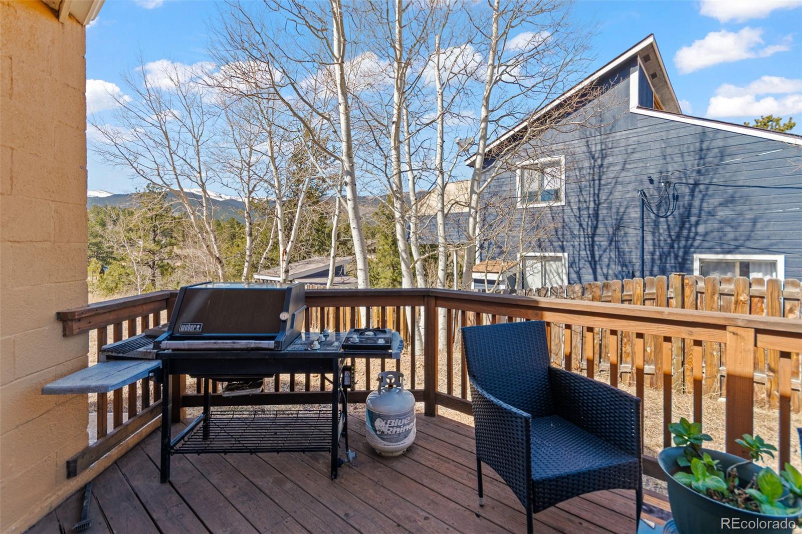 MLS Image #17 for 211  appleby street,bailey, Colorado