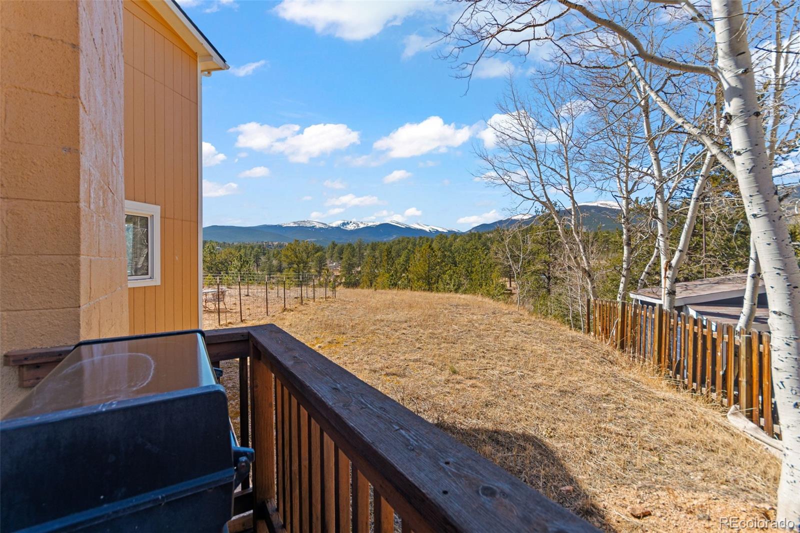 MLS Image #18 for 211  appleby street,bailey, Colorado