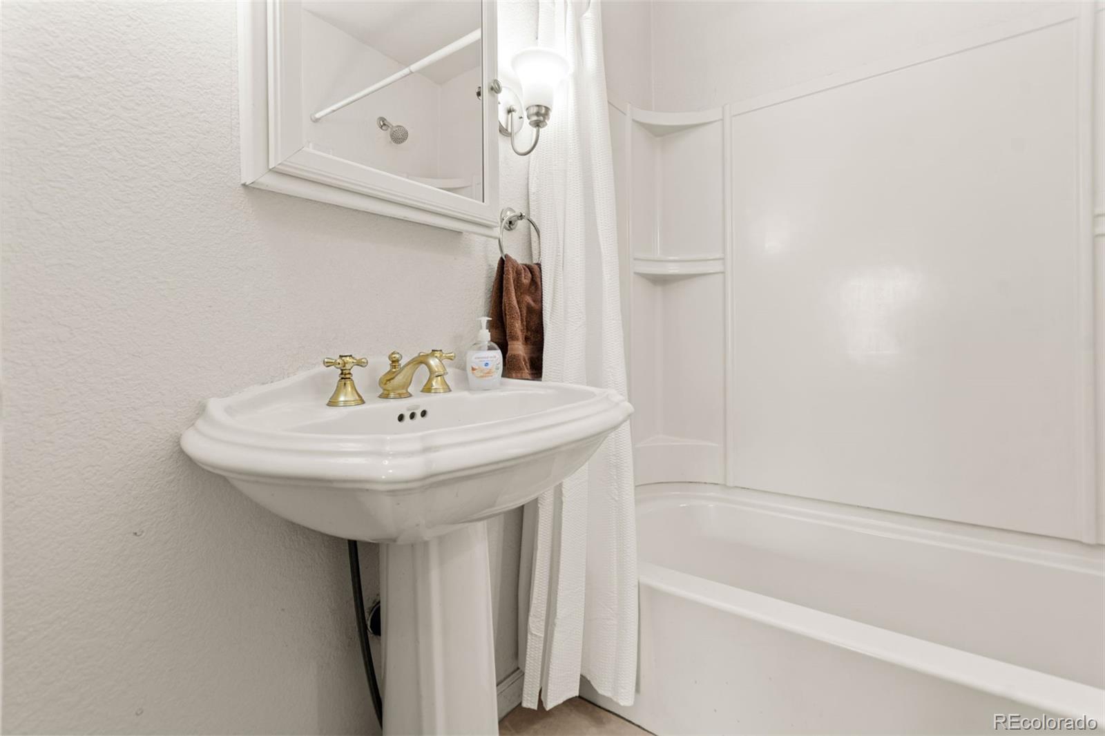 MLS Image #19 for 211  appleby street,bailey, Colorado