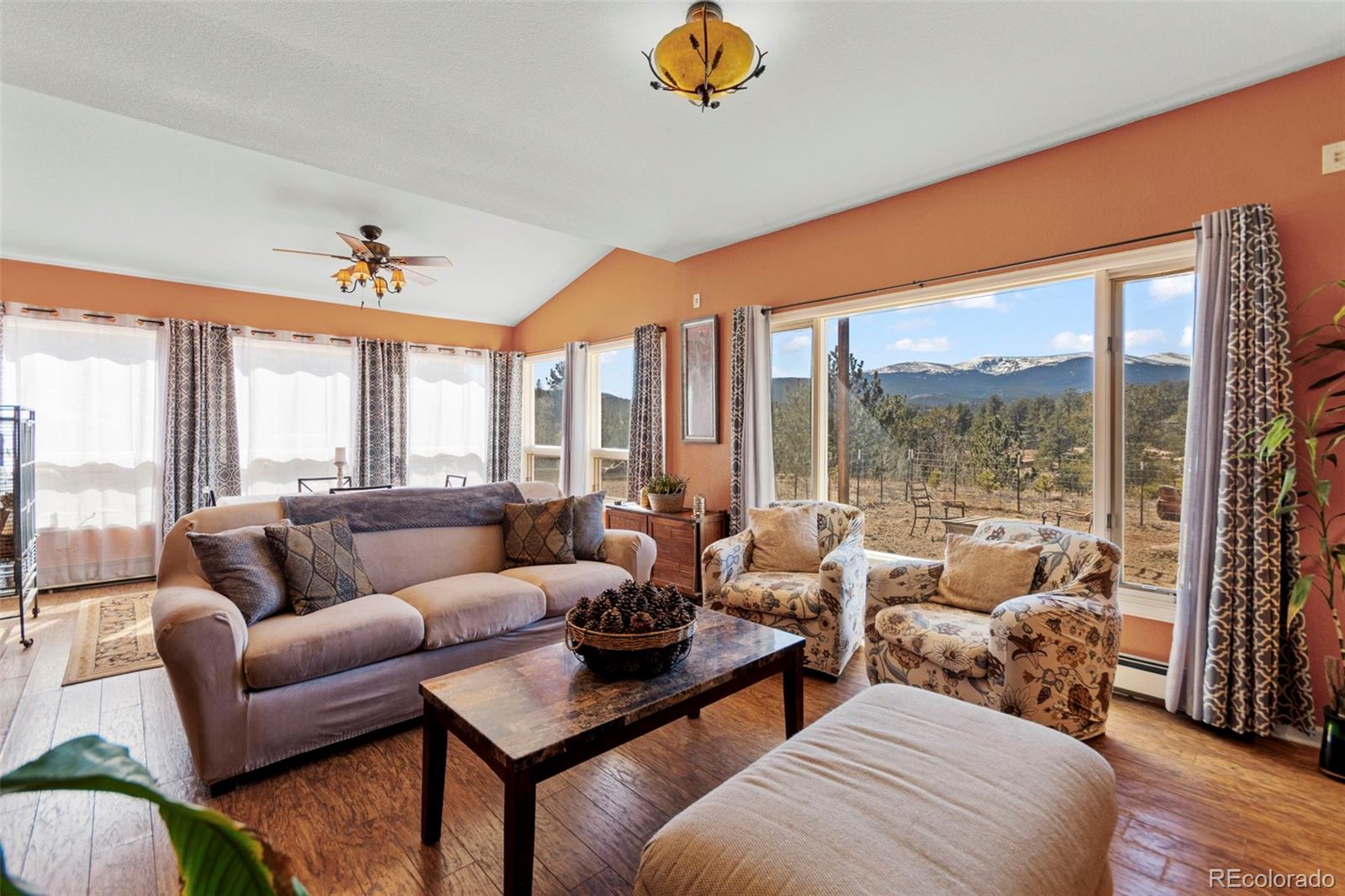 MLS Image #24 for 211  appleby street,bailey, Colorado