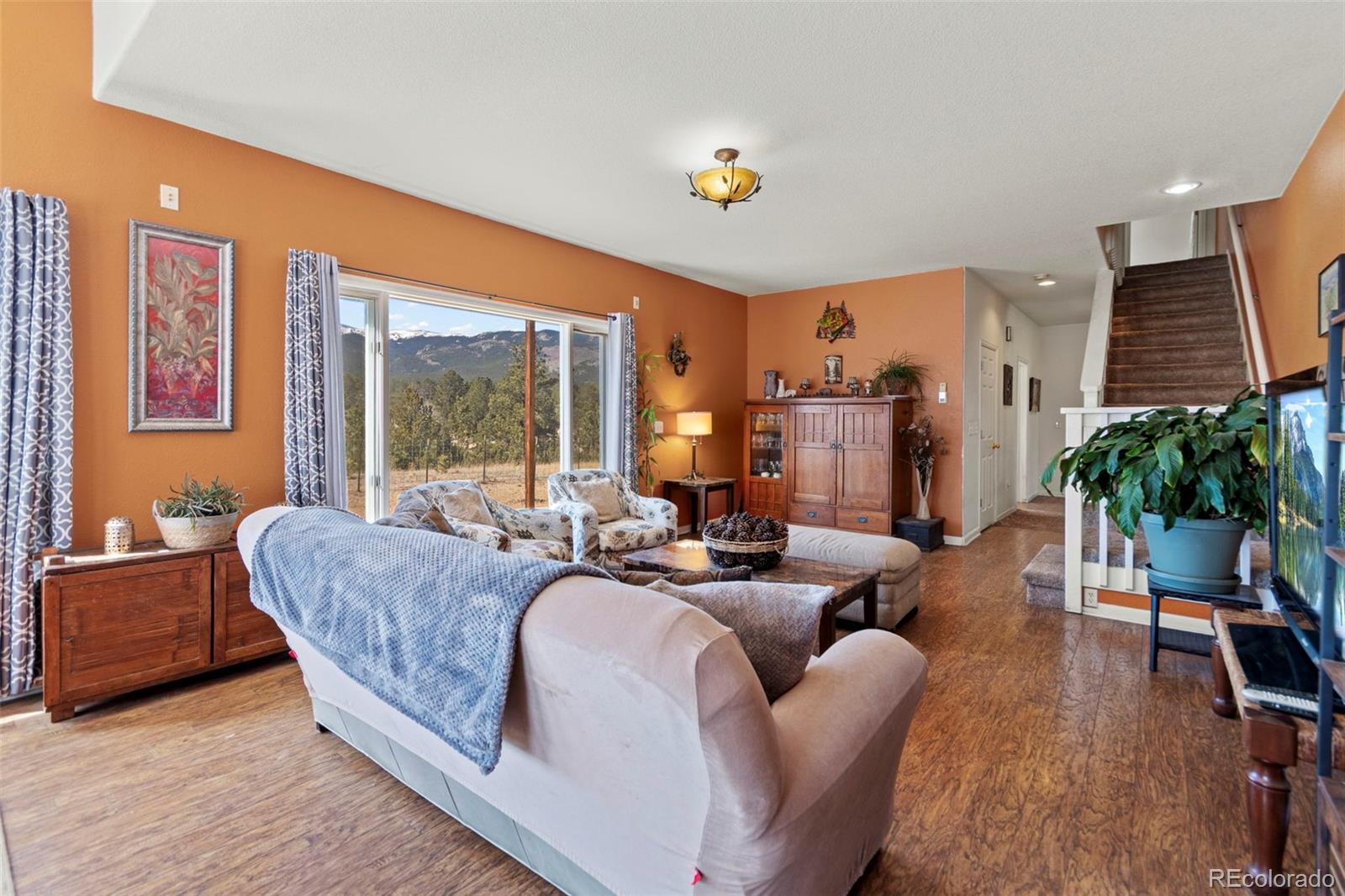 MLS Image #26 for 211  appleby street,bailey, Colorado