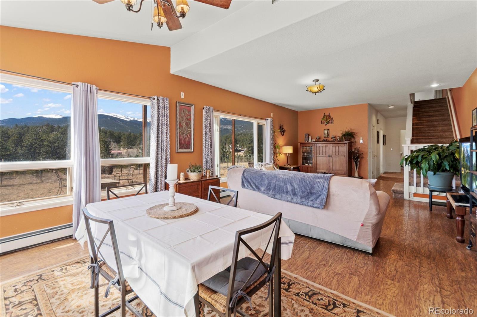 MLS Image #27 for 211  appleby street,bailey, Colorado