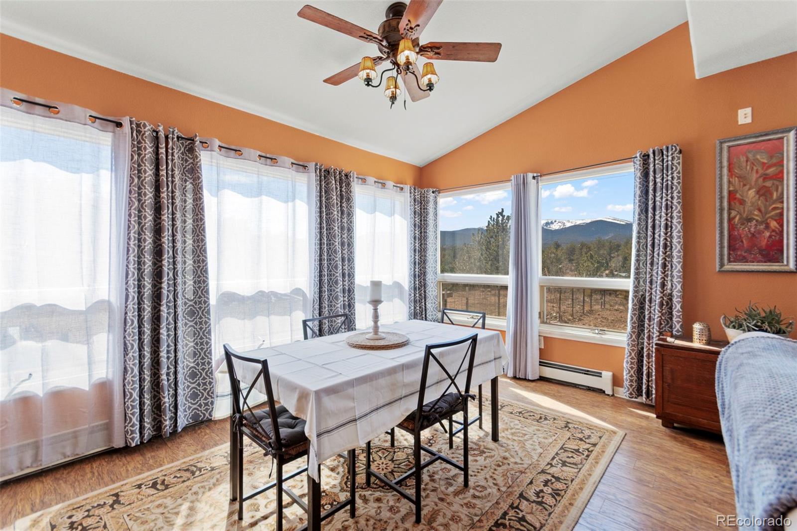 MLS Image #28 for 211  appleby street,bailey, Colorado
