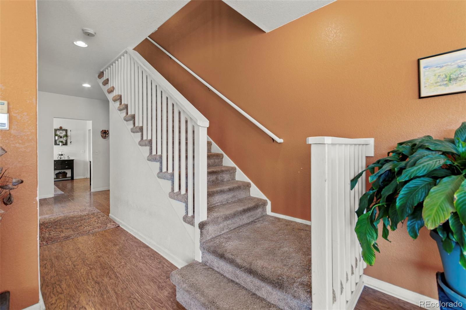 MLS Image #30 for 211  appleby street,bailey, Colorado