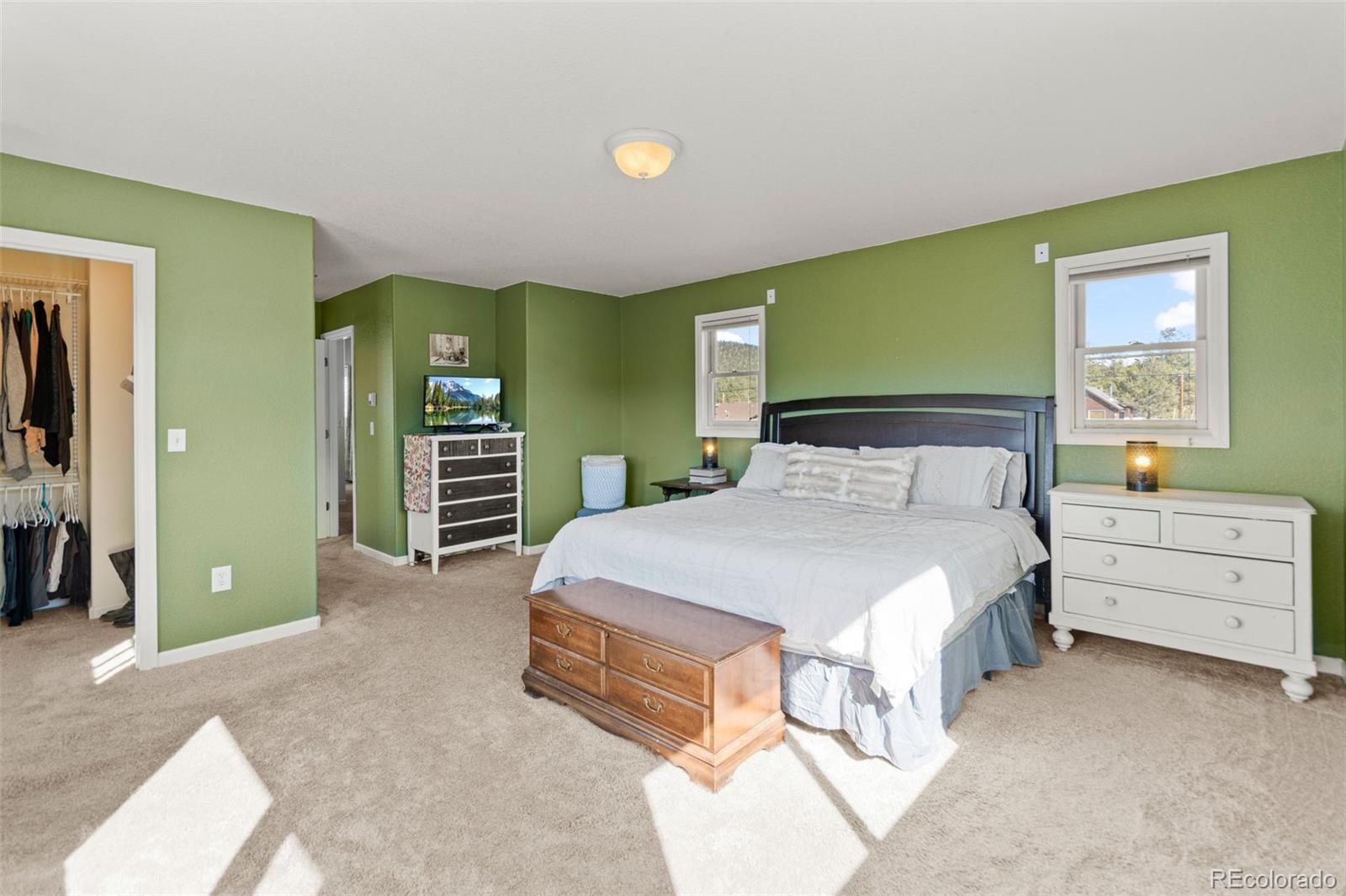 MLS Image #33 for 211  appleby street,bailey, Colorado