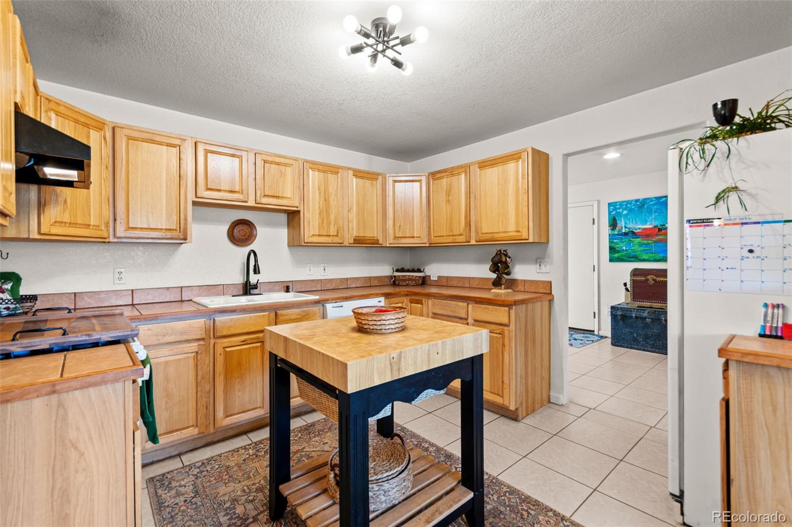 MLS Image #5 for 211  appleby street,bailey, Colorado